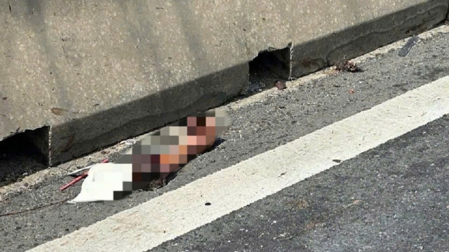 Phát hiện một cánh tay người trên cao tốc Vĩnh Hảo - Phan Thiết