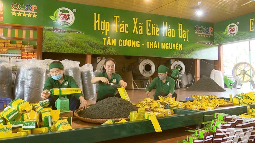 Thành lập mới 250 hợp tác xã trong 5 năm ở Thái Nguyên