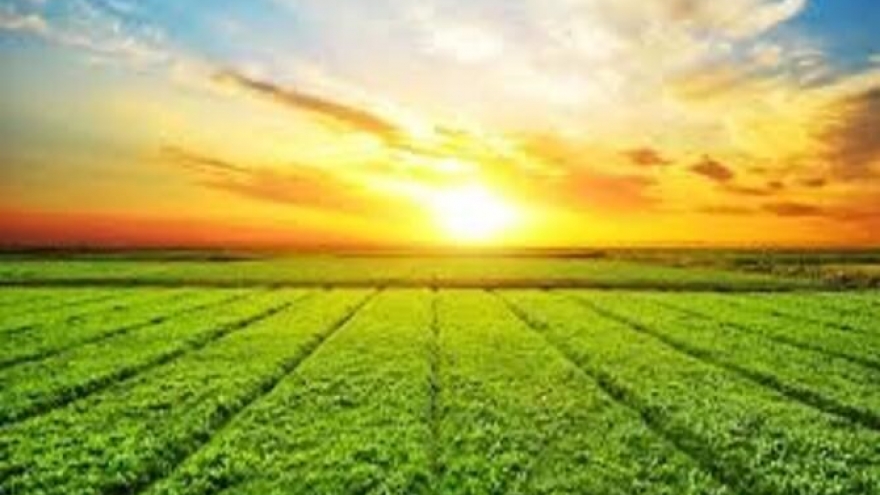 “Đường đến chân trời” - Đường đến với những ước mơ khát vọng