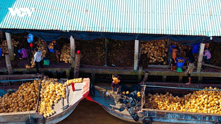 Coconut fiber craft thrives along the banks of the Thom River