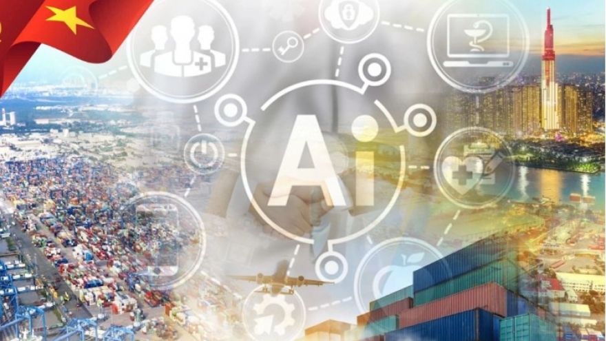 India, Vietnam discuss sustainable development cooperation in digital era