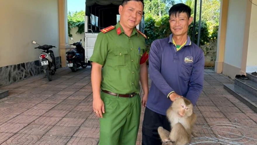 Phát hiện 1 cá thể khỉ bị mắc lưới tại chuồng gà nhà dân ở Lâm Đồng
