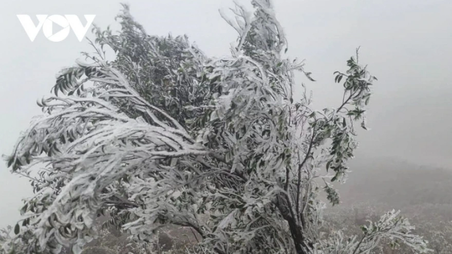 Miền Bắc rét đậm, nhiệt độ phổ biến từ 11–14°C, vùng núi 8–11°C