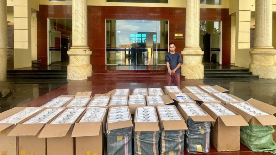 Ngăn chặn vụ vận chuyển 12.500 bao thuốc lá lậu ở Quảng Trị