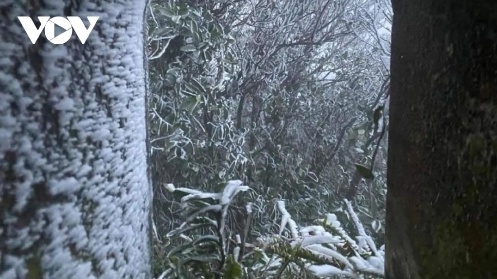 Northern and Central Vietnam brace for another strong cold spell