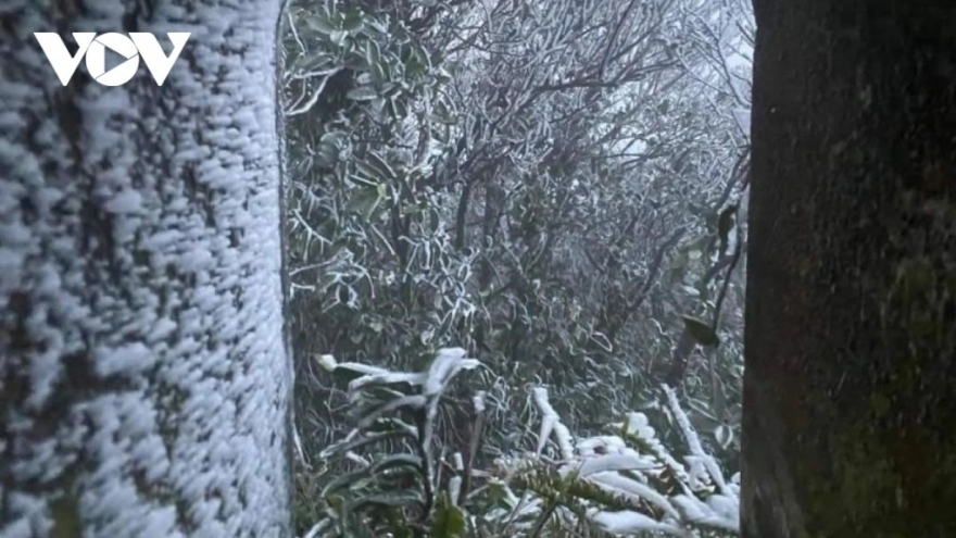 Northern and Central Vietnam brace for another strong cold spell