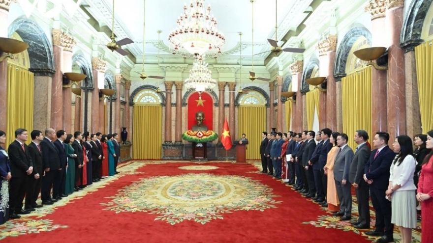 President presents appointment decisions to Vietnamese ambassadors