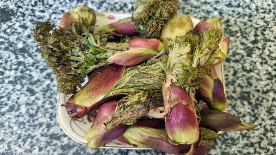 Rau dại ở Việt Nam được thế giới coi là cao lương mỹ vị, giá 400.000 đồng/kg