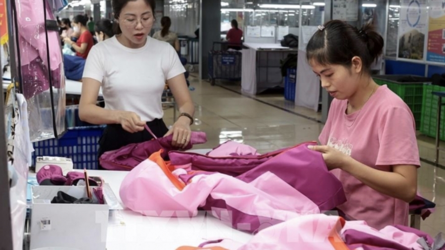 Vietnamese goods expand presence in French retail