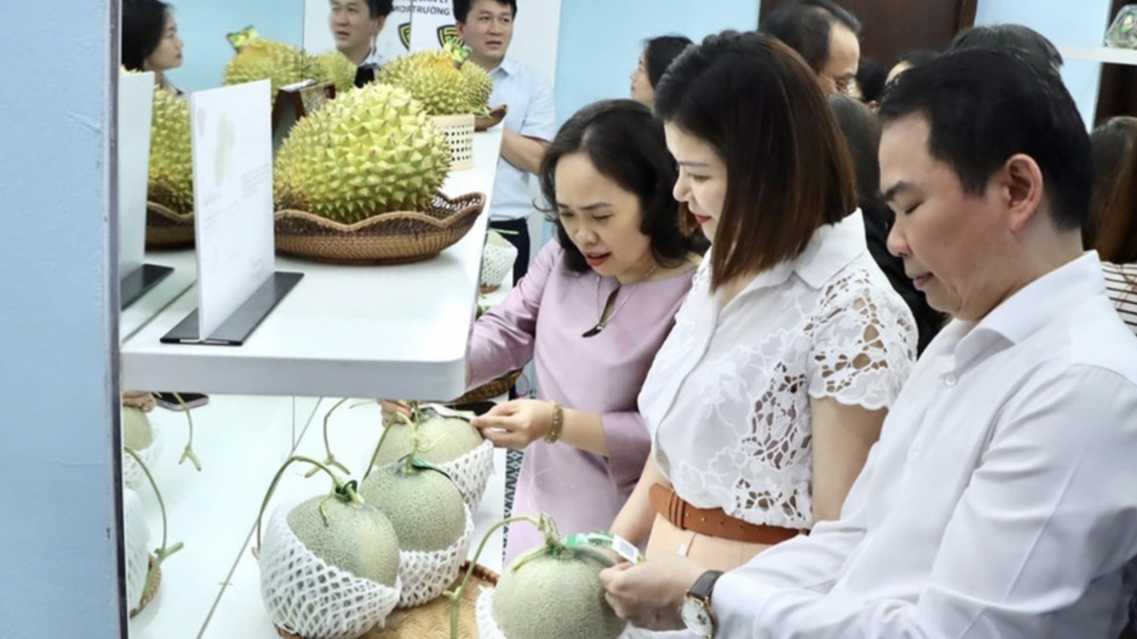 Traceability emerges as protective shield for Vietnam’s exports