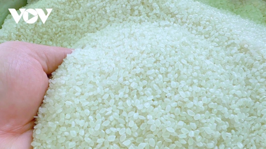 Low-emission rice seen as pathway to strengthen Vietnamese rice brand