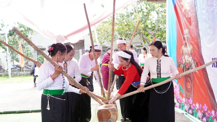 Vietnam adds 5 new elements to national intangible cultural heritage list