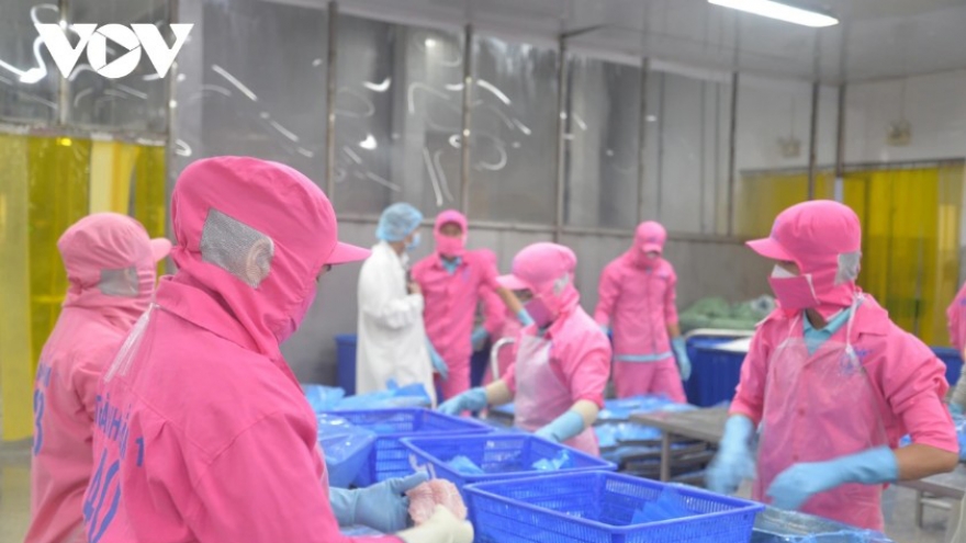 Pangasius exports surpass target amid sustainability challenges