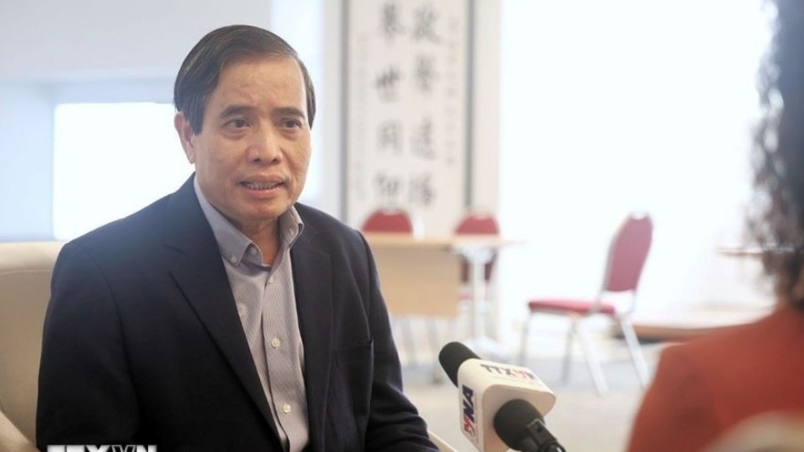 Vietnam shines on global stage amid challenges: expert