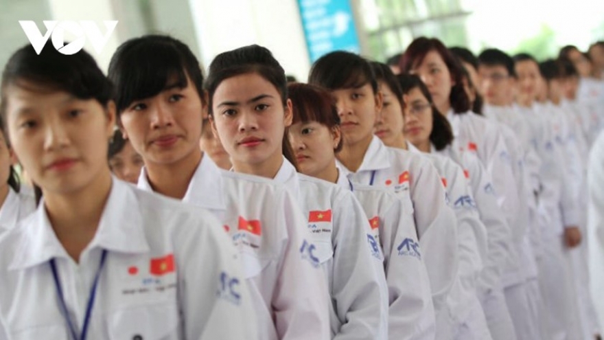 Japan sees record number of foreign workers, Vietnamese top the list