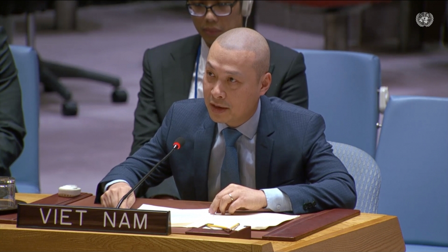 Việt Nam sẵn sàng đóng góp thiết thực cho hòa bình và tái thiết Gaza