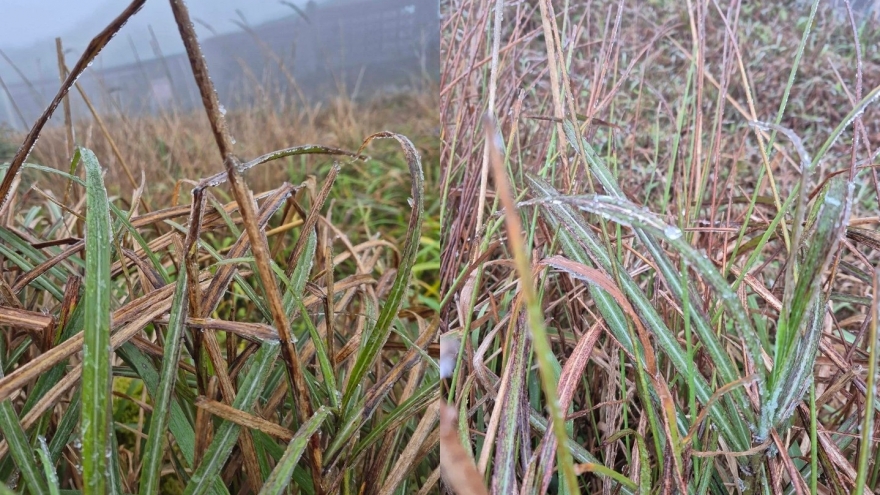 Nhiệt độ xuống 0,3°C, băng giá xuất hiện trên đỉnh Mẫu Sơn