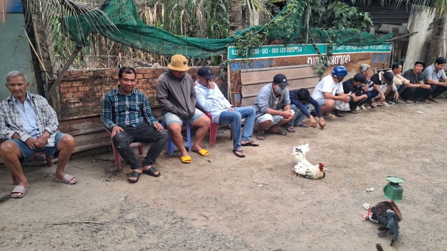 Công an bao vây sới gà, 14 đối tượng ở Tây Ninh bị tạm giữ