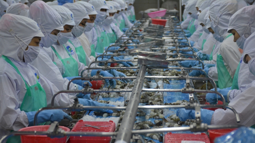 Kinh tế biển là trụ cột tăng trưởng mới của Cà Mau