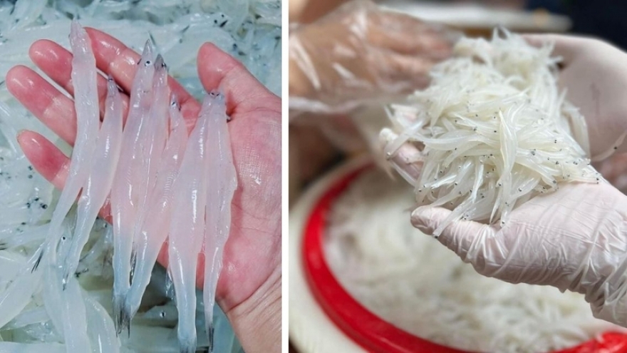 Loại cá trong suốt ít ai chú ý nhưng lại giàu đạm, ít béo