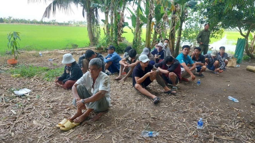 Đồng Tháp: Xử lý 24 đối tượng đá gà ăn thua bằng tiền