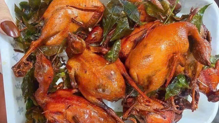 Thịt chim cút giàu dinh dưỡng, những ai không nên ăn?