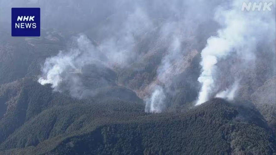 Cháy rừng lại bùng phát sát thủ đô Tokyo của Nhật Bản