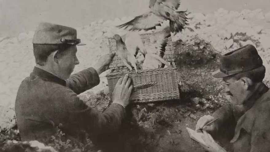 Những "chiến binh có cánh" cứu hàng vạn sinh mạng trong Thế chiến I