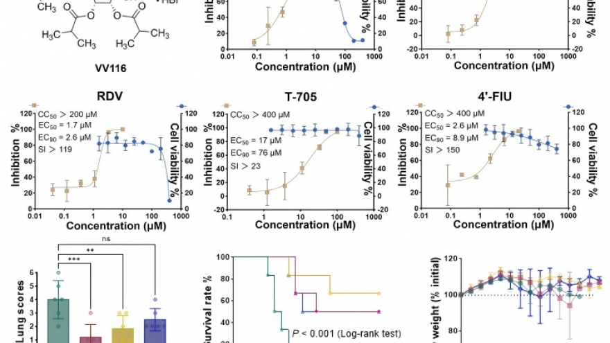 Trung Quốc phát hiện thuốc COVID-19 chống virus Nipah hiệu quả