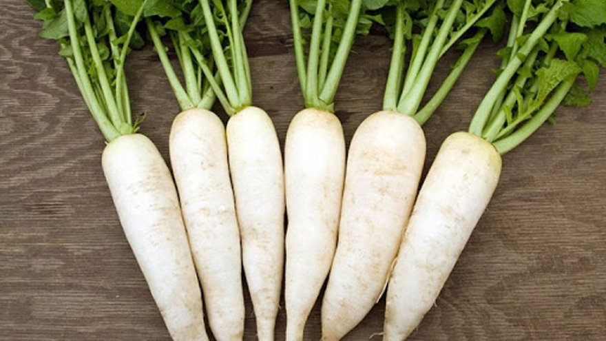 Củ cải trắng - “vị thuốc” trong bữa ăn nhưng một số người nên tránh