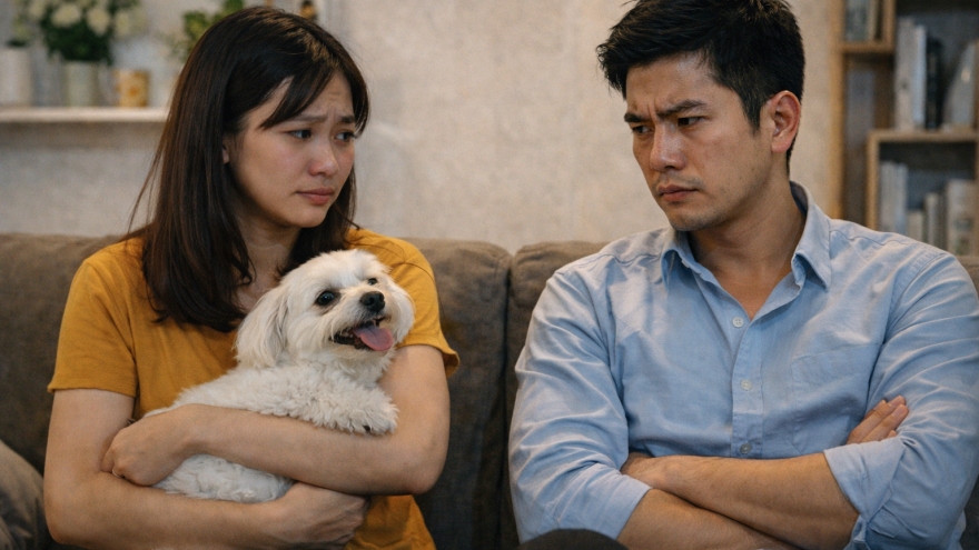 Bàn chuyện cưới, bạn trai không cho tôi mang theo cún cưng