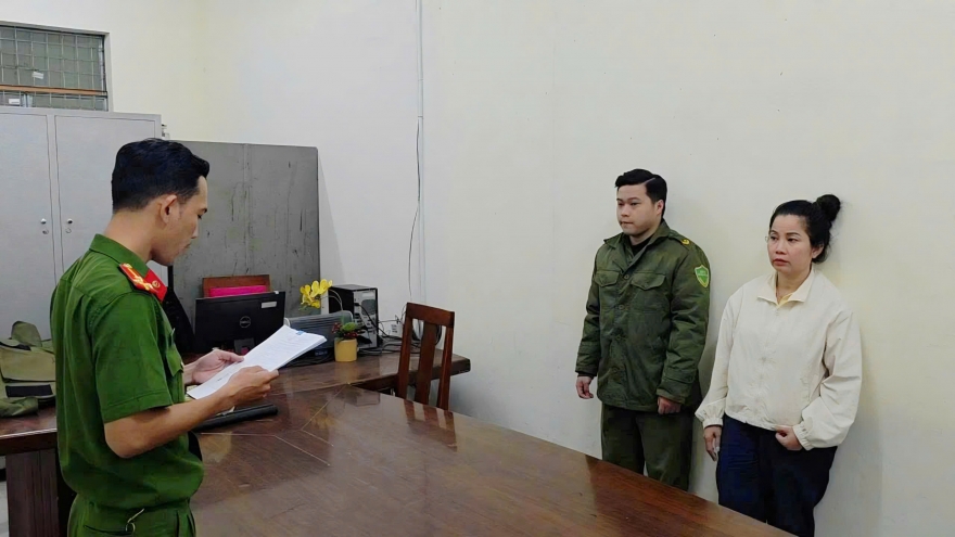 Đà Nẵng triệt phá đường dây buôn lậu tôm hùm giống qua đường hàng không