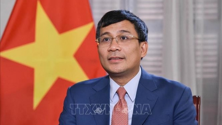 High Seas Treaty opens up unprecedented opportunities for Vietnam: Deputy FM