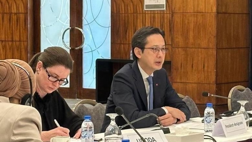 Vietnam chairs consultation on NPT RevCon 11 with Middle East, North Africa