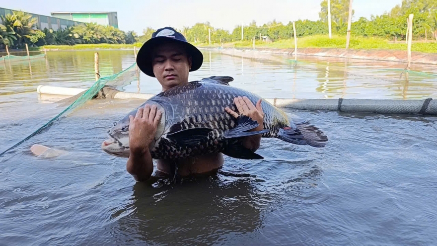 Đồng Tháp dự trữ 600 tỷ đồng đảm bảo bình ổn hàng hóa Tết