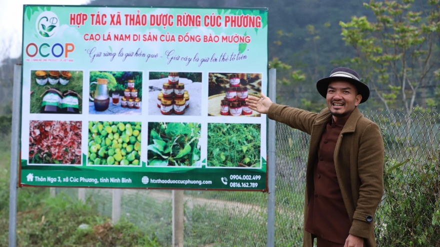 Ông chủ homestay thành lập HTX cao lá thảo dược