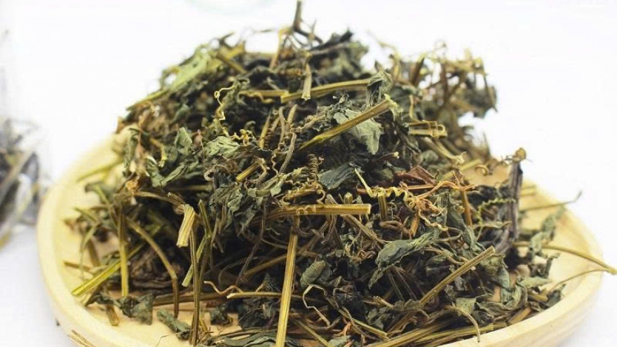 Giảo cổ lam: Vị thảo dược được ví “quý hơn sâm” có gì đặc biệt?