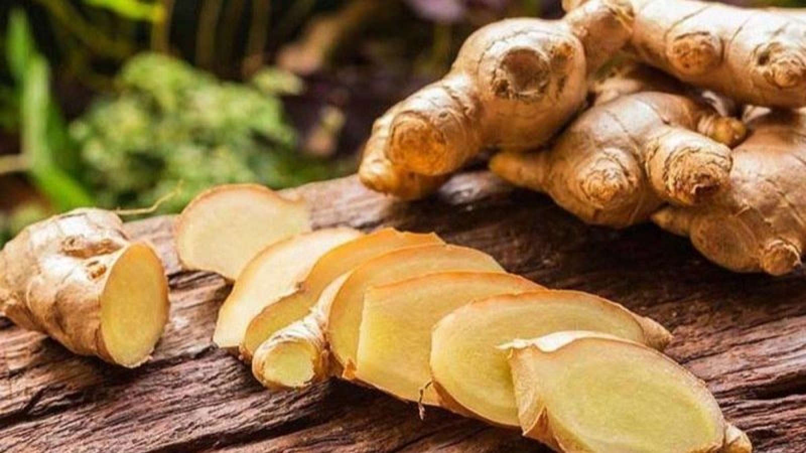 Điều gì xảy ra với cơ thể nếu bạn ngậm một lát gừng tươi mỗi sáng?