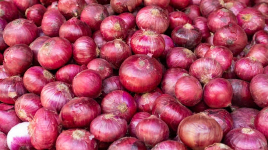 Hành tây đỏ - “trợ thủ” tự nhiên giúp tăng miễn dịch, tốt cho tim mạch