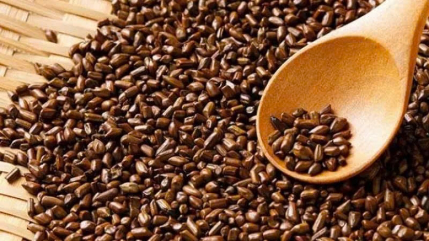 Không chỉ là cây dại: Hạt muồng còn có những công dụng bất ngờ