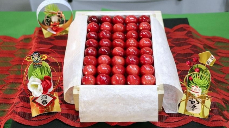 Cherry Nhật Bản giá hơn 4 triệu đồng/quả có gì đặc biệt?