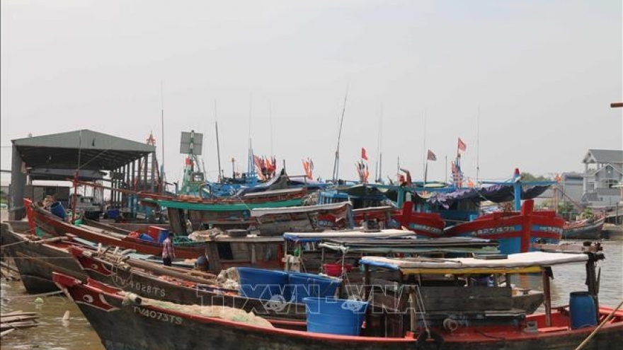 IUU combat: Vinh Long tightens fishing port control