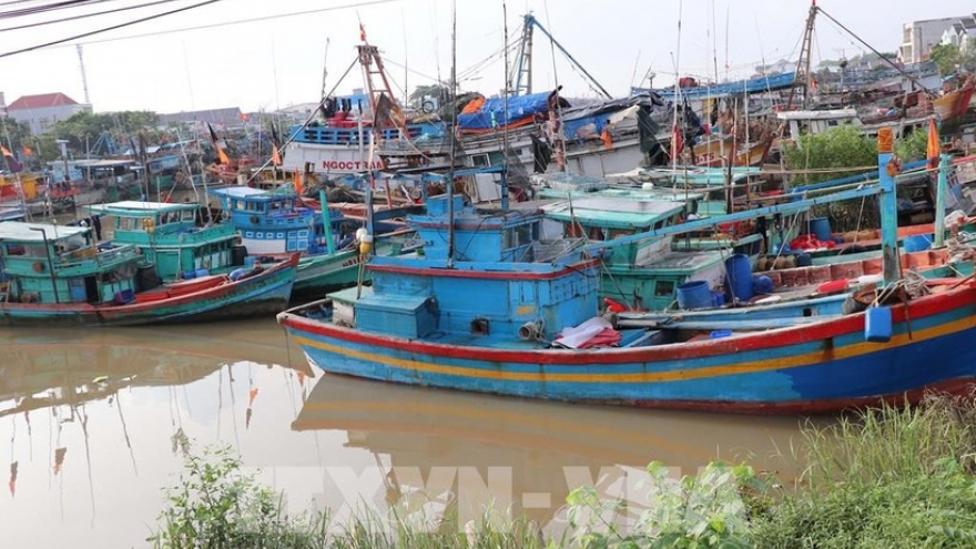 Ho Chi Minh City moves swiftly to finalise IUU fishing cases