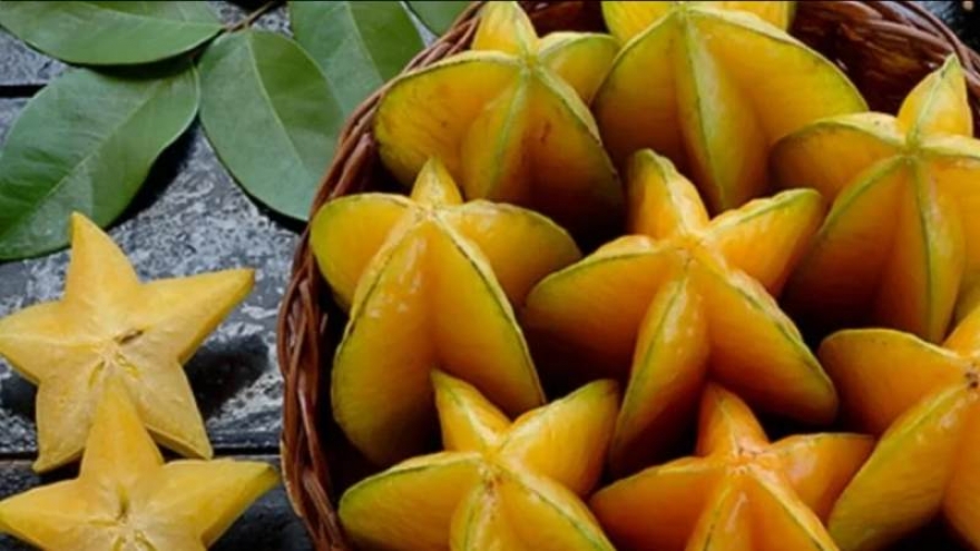 Quả khế: Loại quả dân dã nhưng công dụng chữa bệnh không ngờ