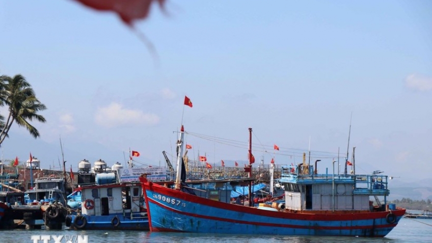 HCM City steps up law enforcement on fishing vessel monitoring system