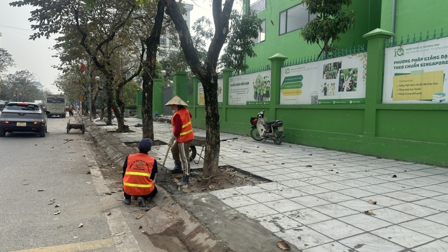 Chấn chỉnh, khắc phục việc vữa xi măng che lấp gốc cây khi thi công vỉa hè