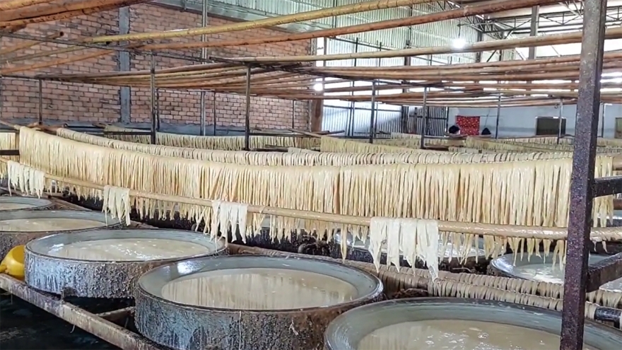 Hối hả làng nghề truyền thống Vĩnh Long vào xuân