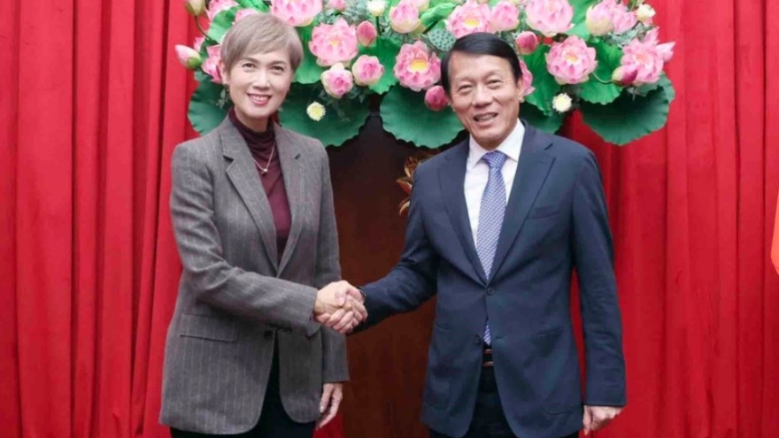 Vietnam, Singapore promote cooperation in cybersecurity, digital transformation