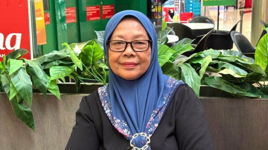 Vietnam a pillar of stability in Southeast Asia amid volatile geopolitics: Expert