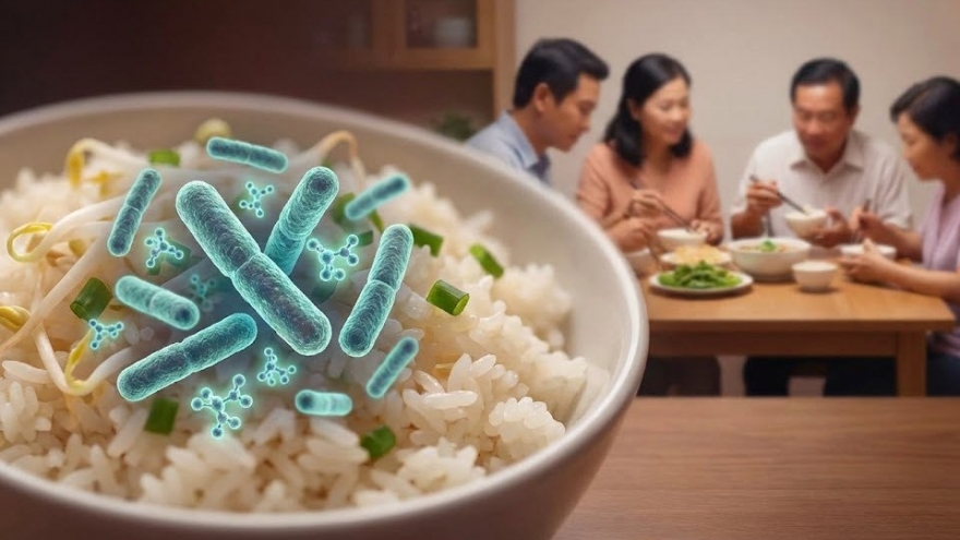 Độc tố Cereulide nguy hiểm ra sao?